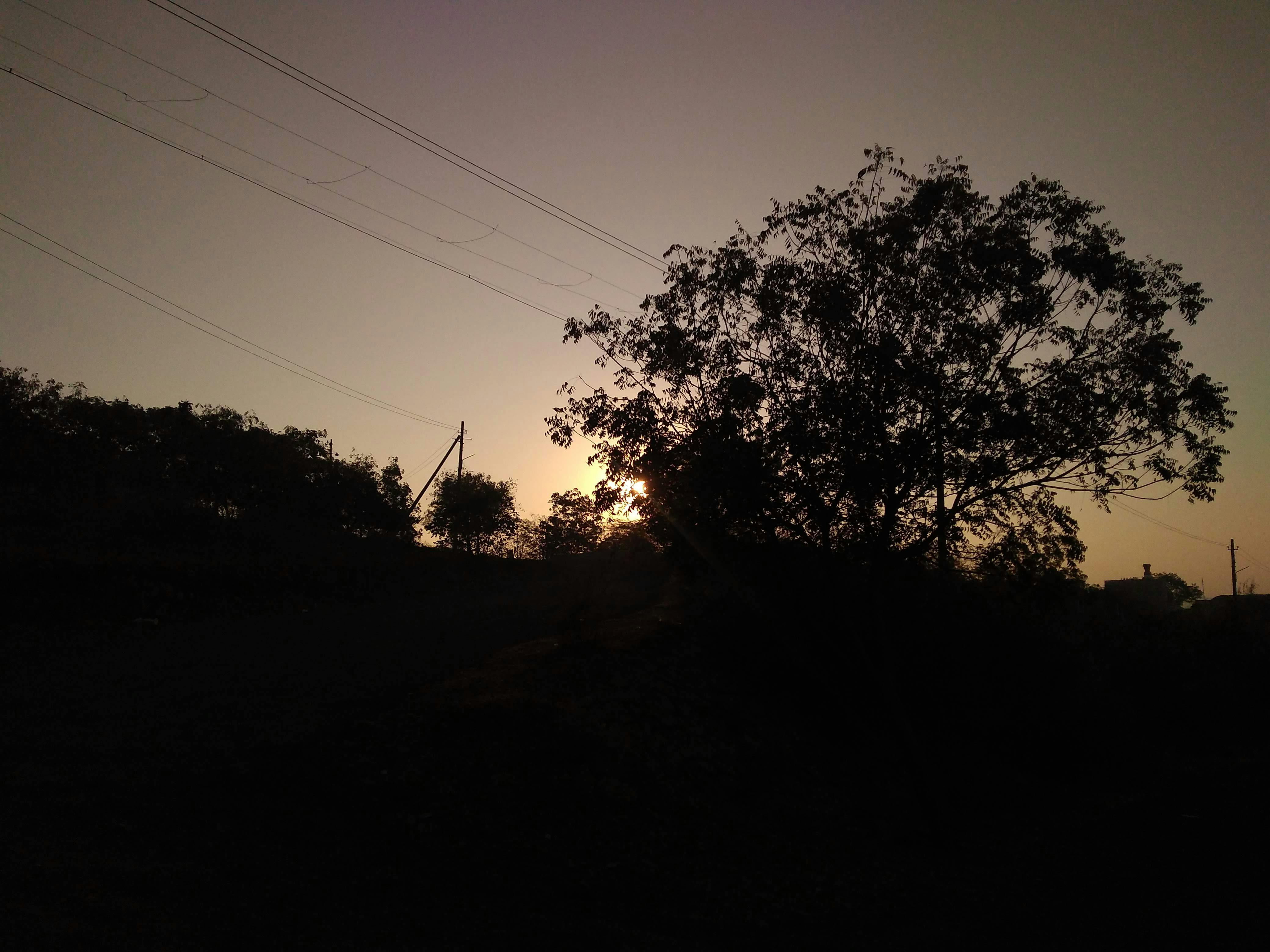 Free stock photo of #mornings #sun #light #dark