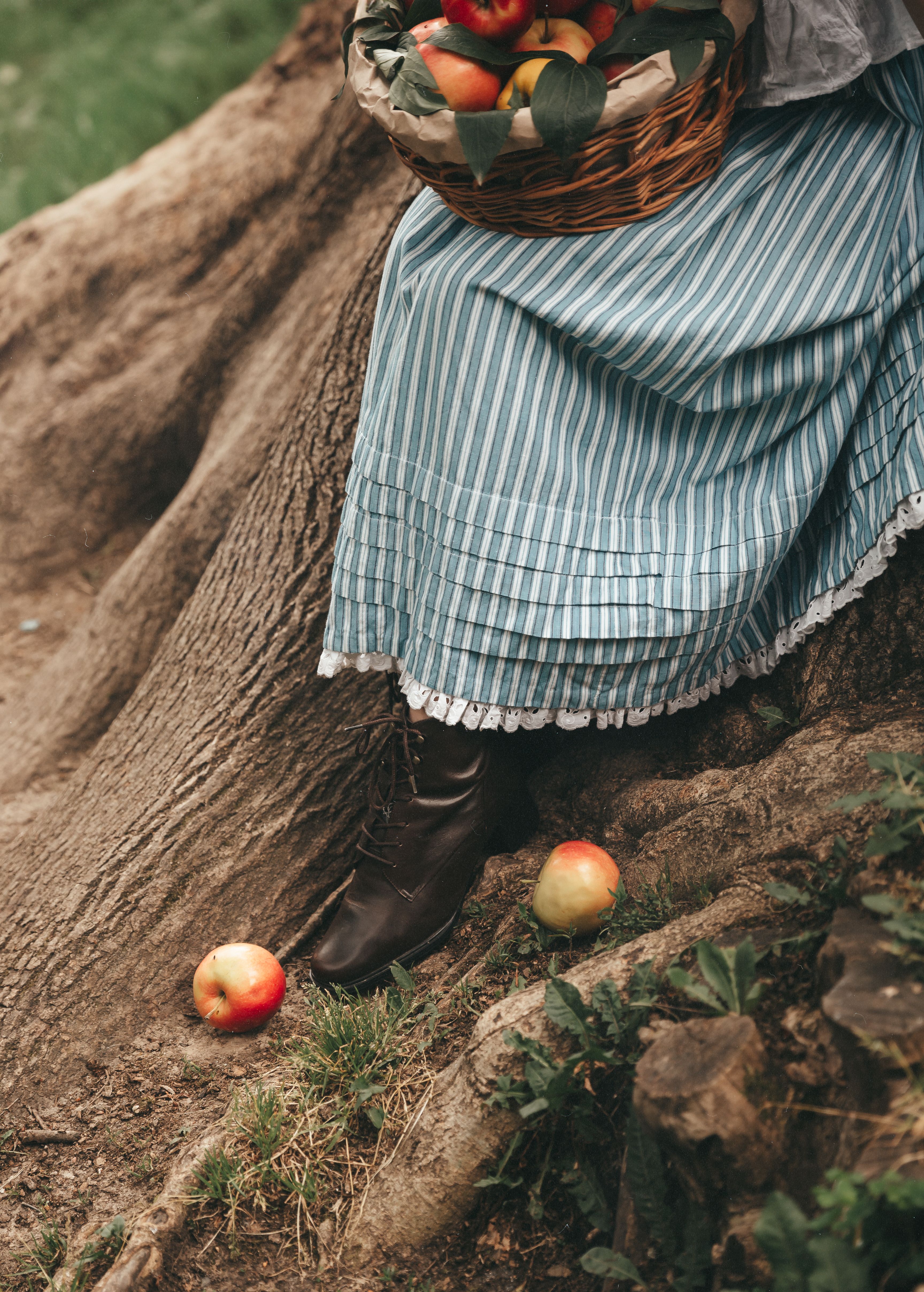 Apple Tree Roots Photos, Download The BEST Free Apple Tree Roots Stock ...