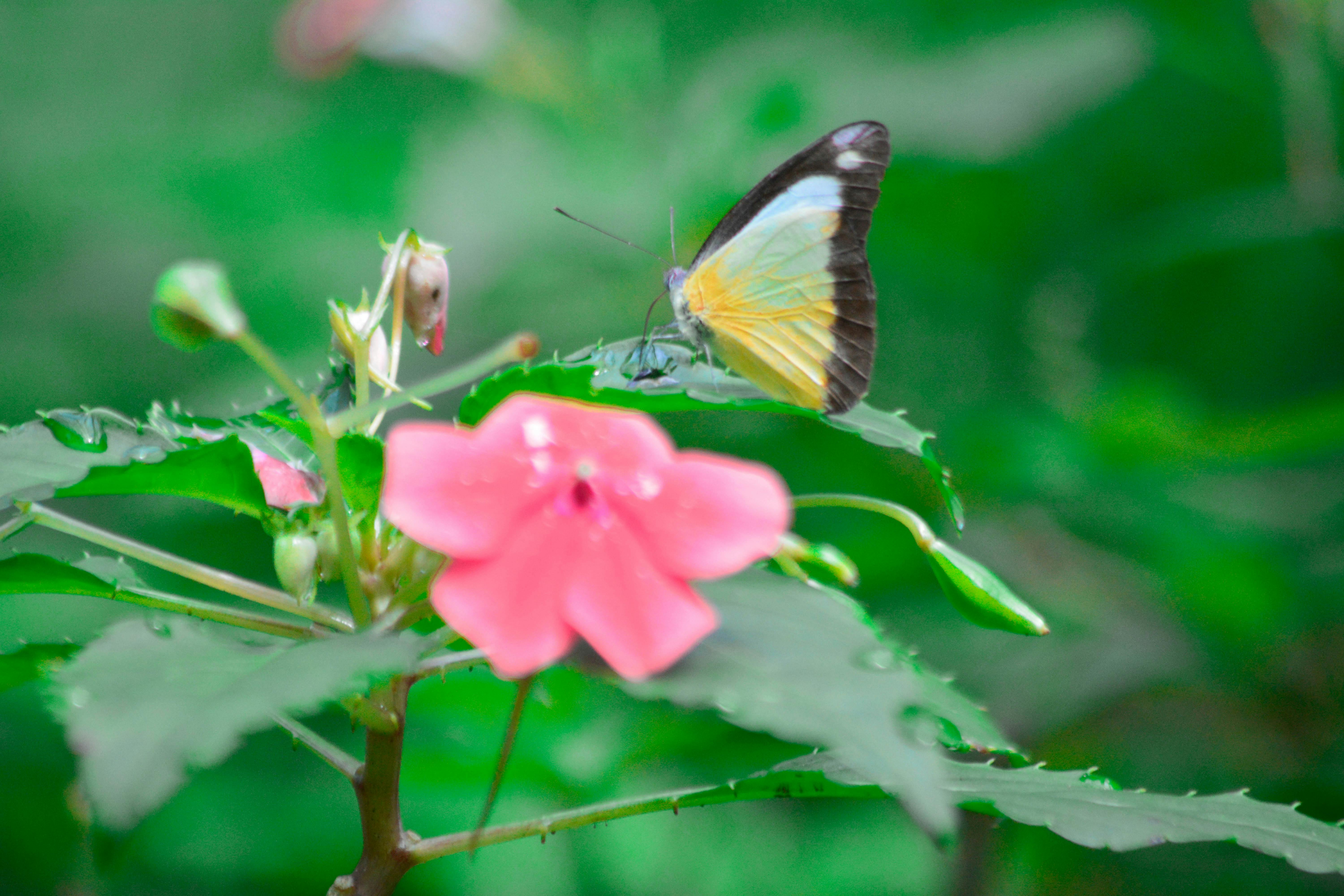 When to Call an Emergency Roofer (And When It Can Wait Until Morning)