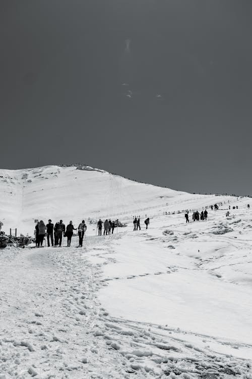 People on a Hill Covered with Snow in Black and White