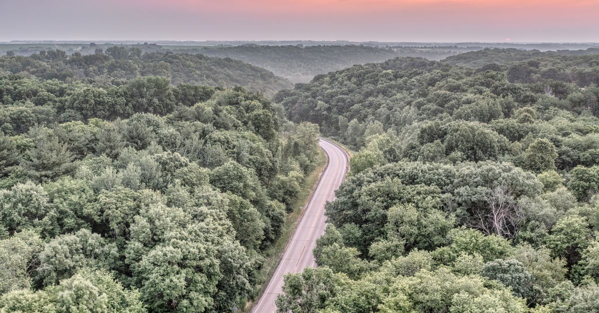 Aerial view of a winding road through lush forest with a stunning pink sunset in West Albany, MN.