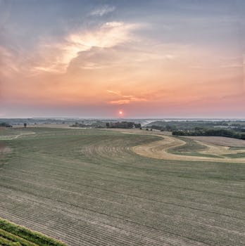 A tranquil sunrise illuminates the foggy fields of West Albany, MN, casting an orange glow over the rural landscape.