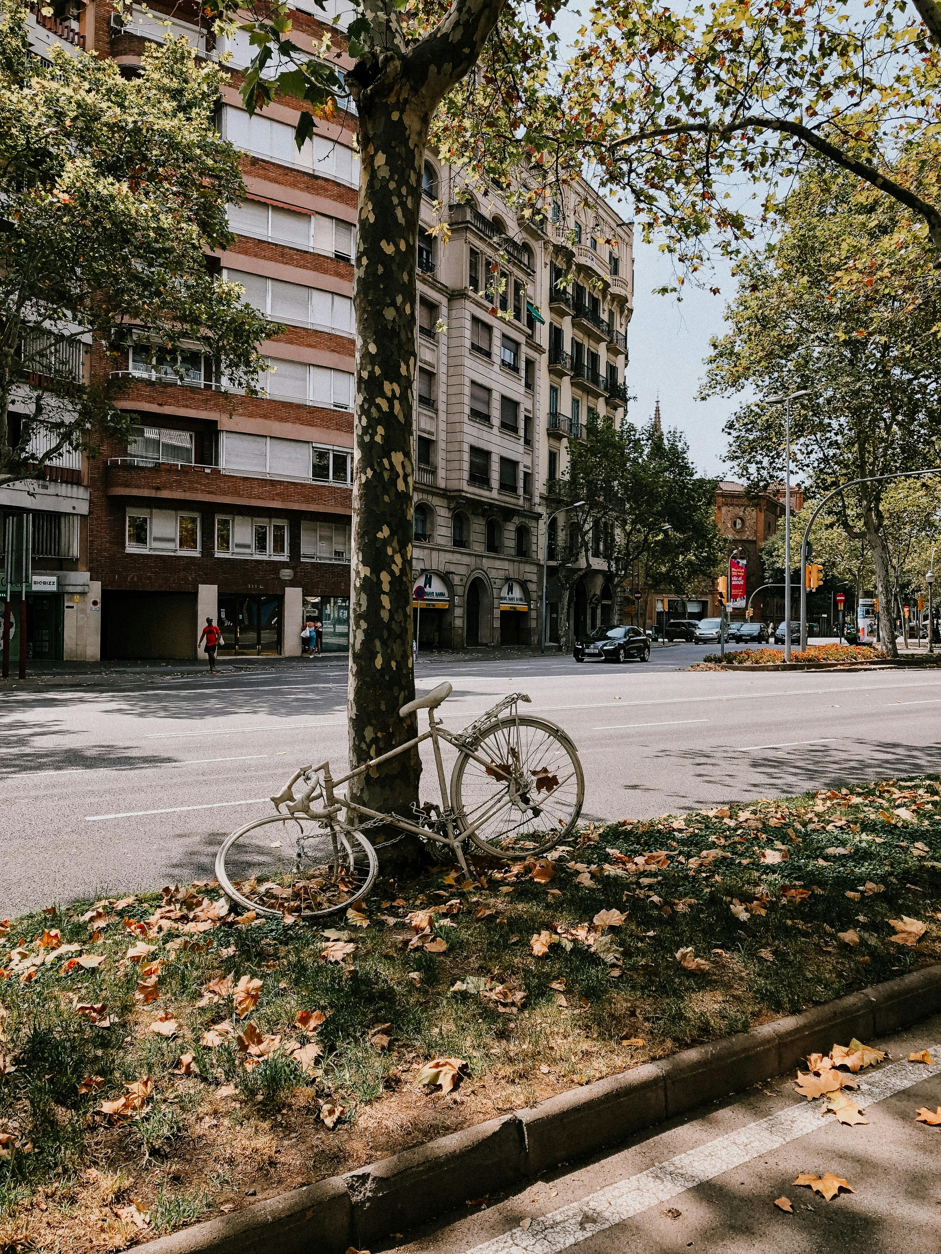 abandoned bike