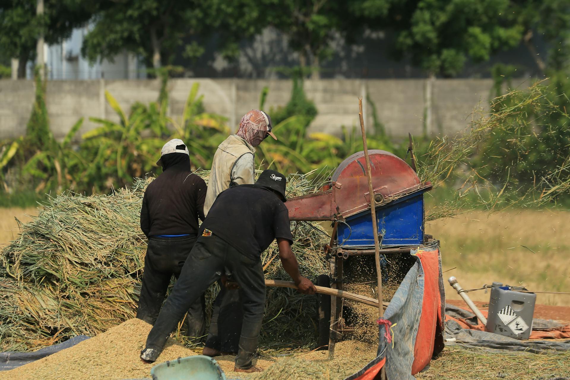 Farmers Working on Field