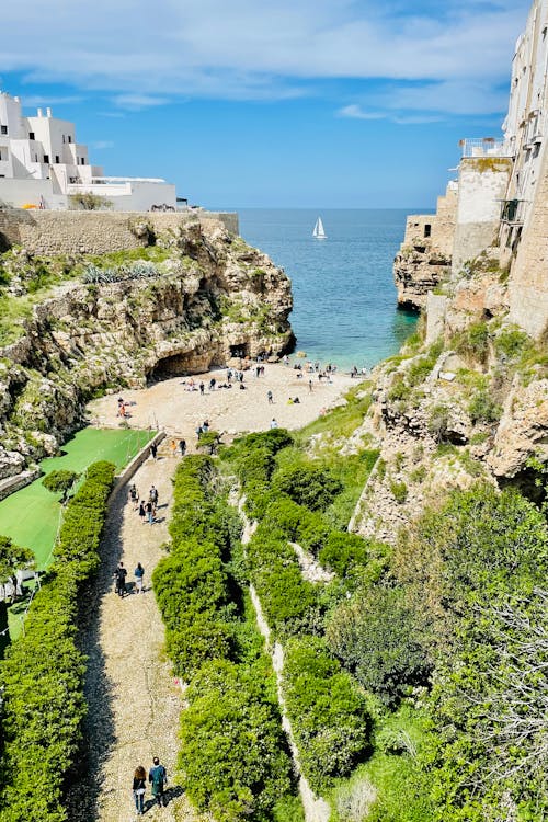 Trees and Bay in Town on Sea Shore