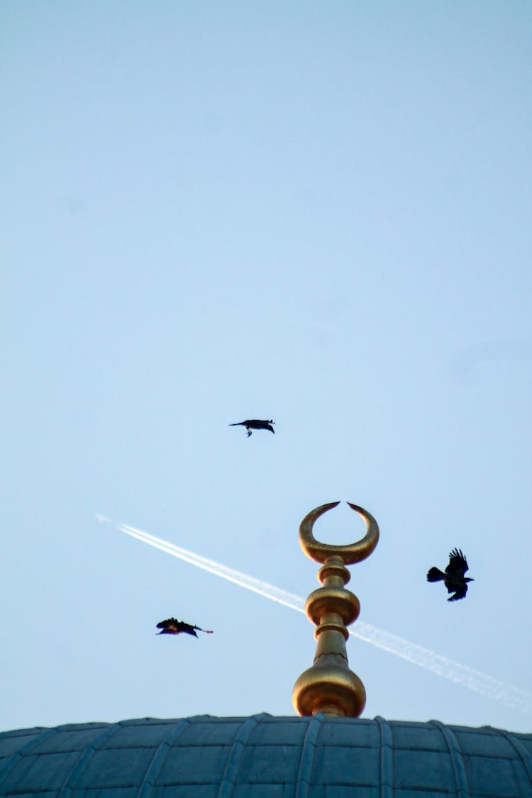 Silhouettes Of Birds Flying Above Building Against Blue Sky