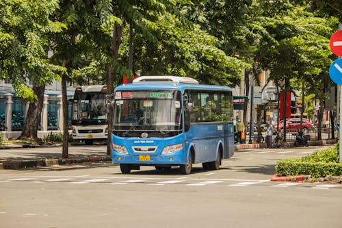 Blue Bus in Street