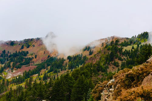 Immagine gratuita di alberi, cloud, montagna
