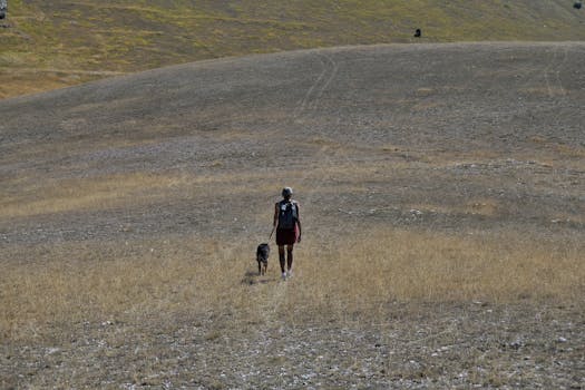 A lone hiker with a dog explores a vast, dry landscape in summer.