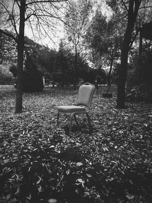 atmosfera de outono, 孤單, 憂鬱 的 免費圖庫相片