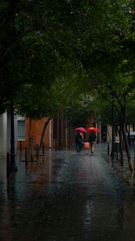 A family walks under umbrellas through a rain-soaked city path, surrounded by lush trees.