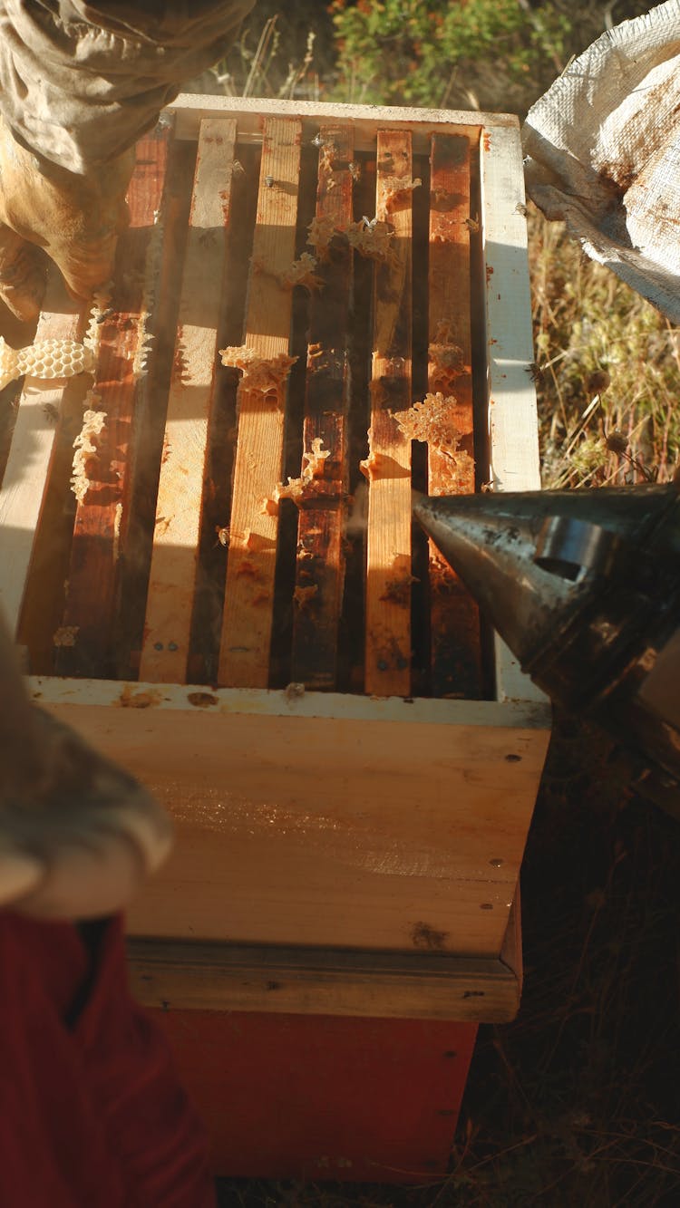 Bee Keeper Opening A Hive