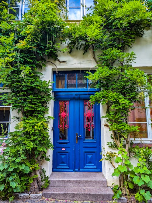 Ivy around House Door