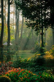 Image by Johny Goh