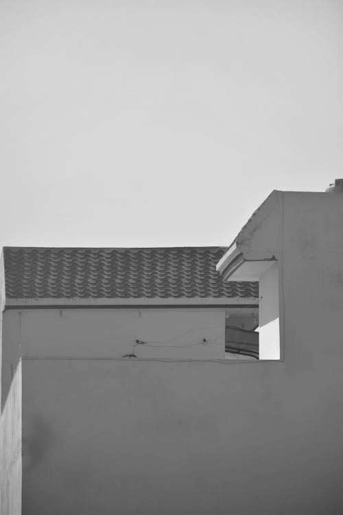 Building Wall and Roof in Black and White