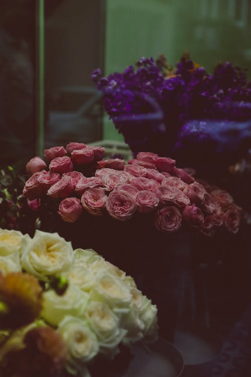Ilmainen kuvapankkikuva tunnisteilla kasvit, kimput, kukat