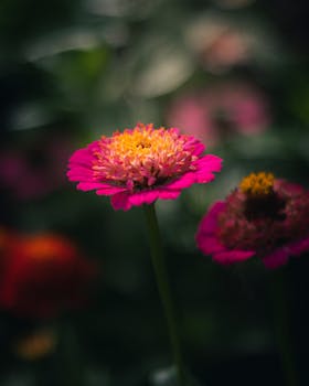 Image by Kacper Lepieszka