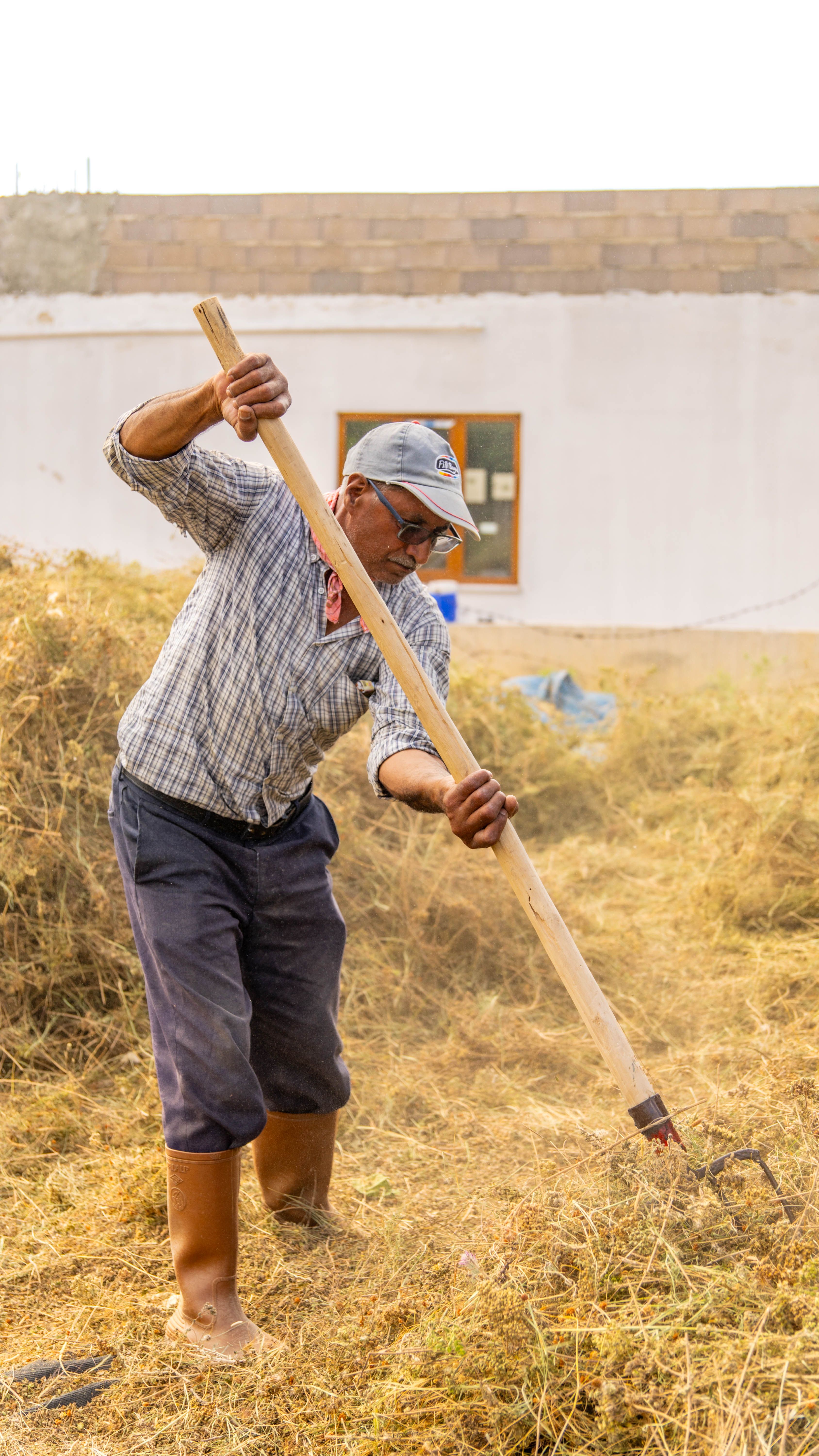 An adult male farmer using a fork to work in a hay field wearing casual farm attire.