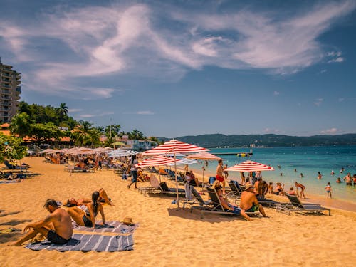 People Sunbathing at the Beach 