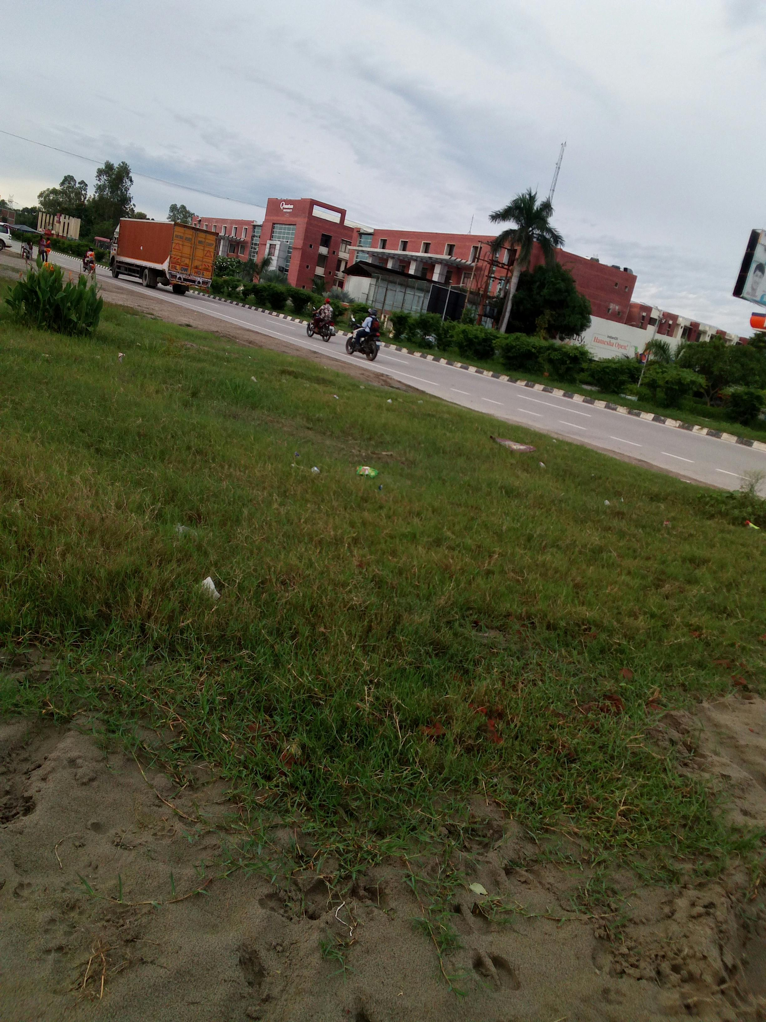 Professional chauffeur awaiting airport arrival