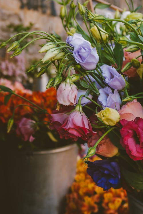 Gratis lagerfoto af blomster, blomsterbuket, dekoration