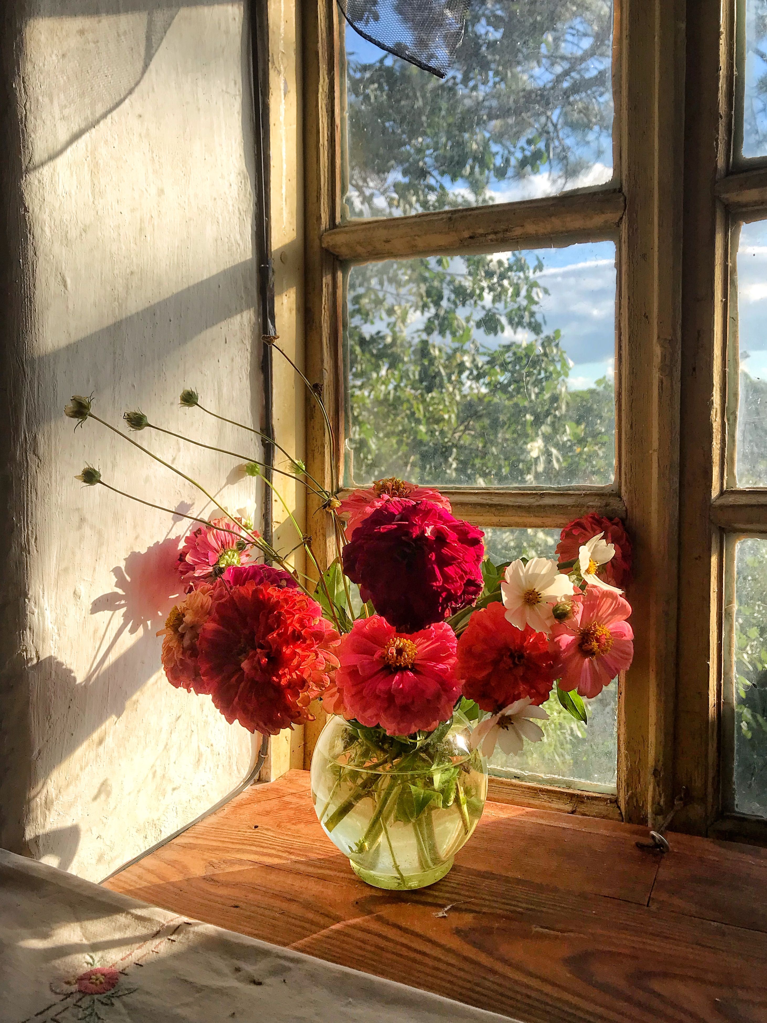 A Bouquet in a Vase on the Windowsill · Free Stock Photo