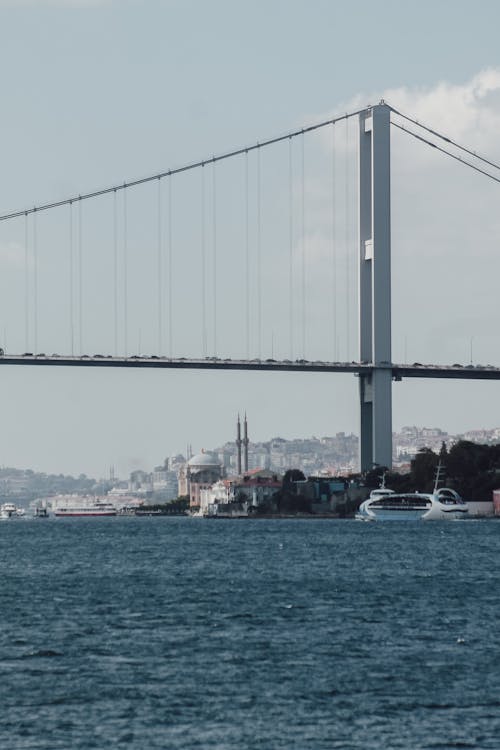 asma köprü, boğaz, dikey atış içeren Ücretsiz stok fotoğraf