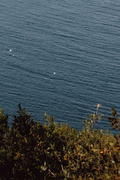 Free Tranquil view of the ocean with green shrubs in the foreground, capturing nature's beauty. Stock Photo
