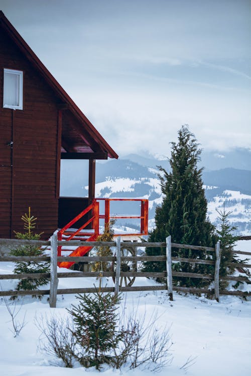 Ảnh lưu trữ miễn phí về căn nhà, Giống chó núi Bernese, mùa đông