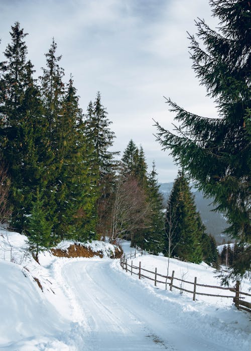 Snow-covered Road on the Mountainside