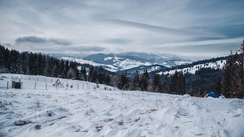 Foto stok gratis latar belakang musim dingin, musim salju menyenangkan, wallpaper musim dingin