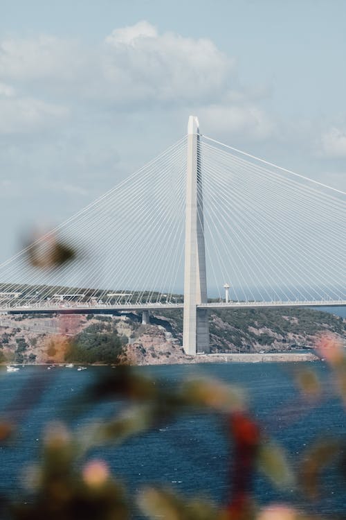 asma köprü, boğaz, çelik içeren Ücretsiz stok fotoğraf