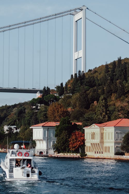 ağaçlar, asma köprü, dikey atış içeren Ücretsiz stok fotoğraf