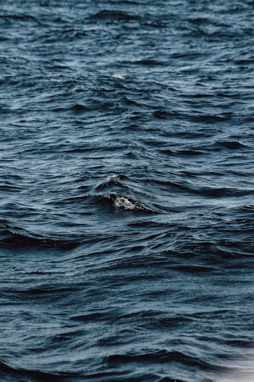 Бесплатное стоковое фото с вертикальный выстрел, волны, голубое море