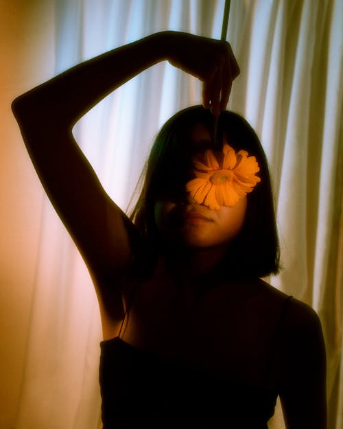 คลังภาพถ่ายฟรี ของ ซิลูเอตต์, ดอกไม้, ผู้หญิง