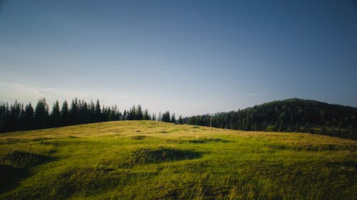 Foto stok gratis gunung biru, hijau, pegunungan