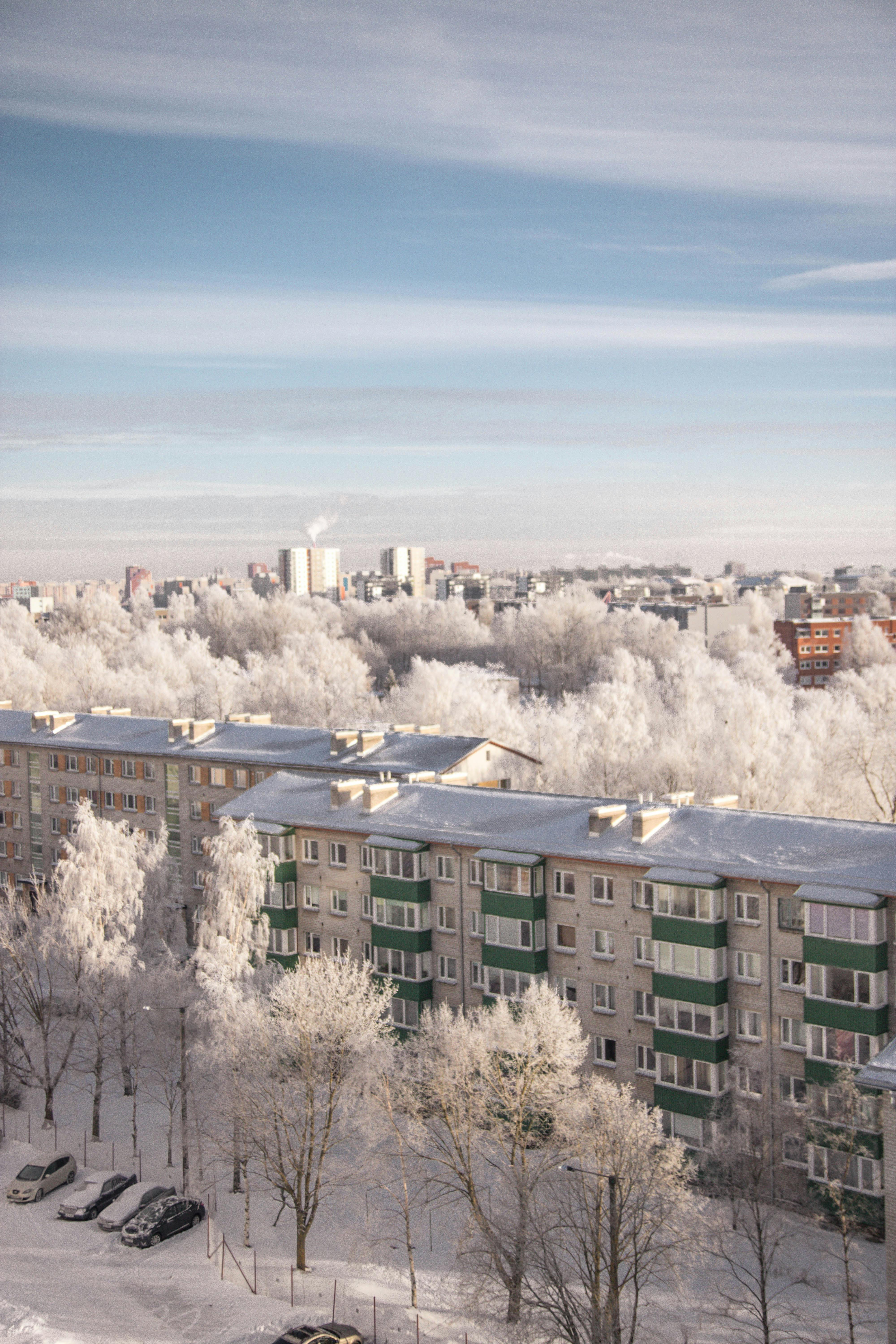 green and gray building covered with snow