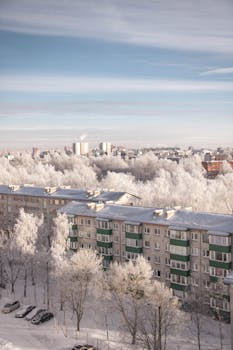 冬日城市一片宁静，白雪覆盖着建筑，霜树映衬在晴朗的蓝天下