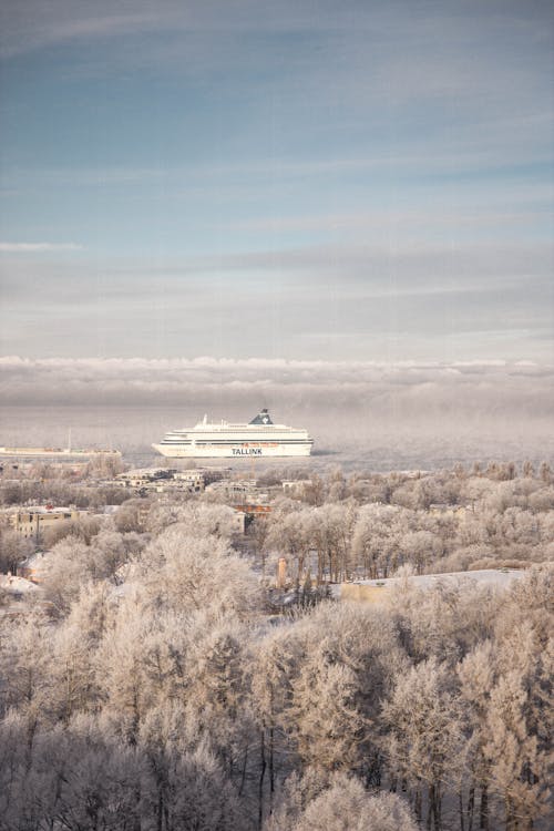 Drone view of snowy forest with tall trees and large white ship with blue cloudy sky over it