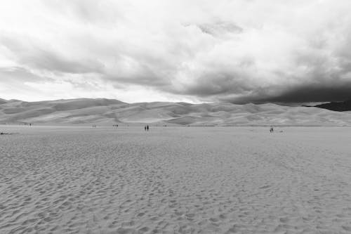 Free People Walking in the Desert Surrounded by Dunes Stock Photo