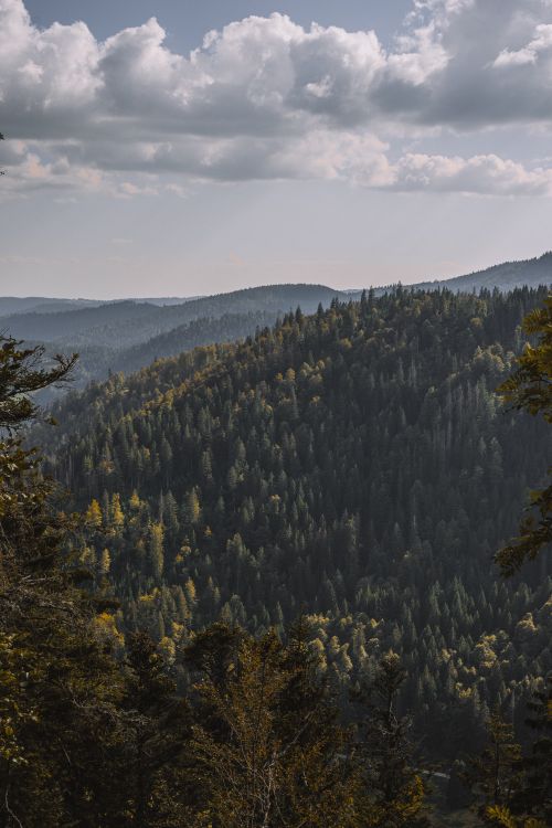 Free A stunning aerial shot capturing the dense forested hills under a cloudy sky. Stock Photo