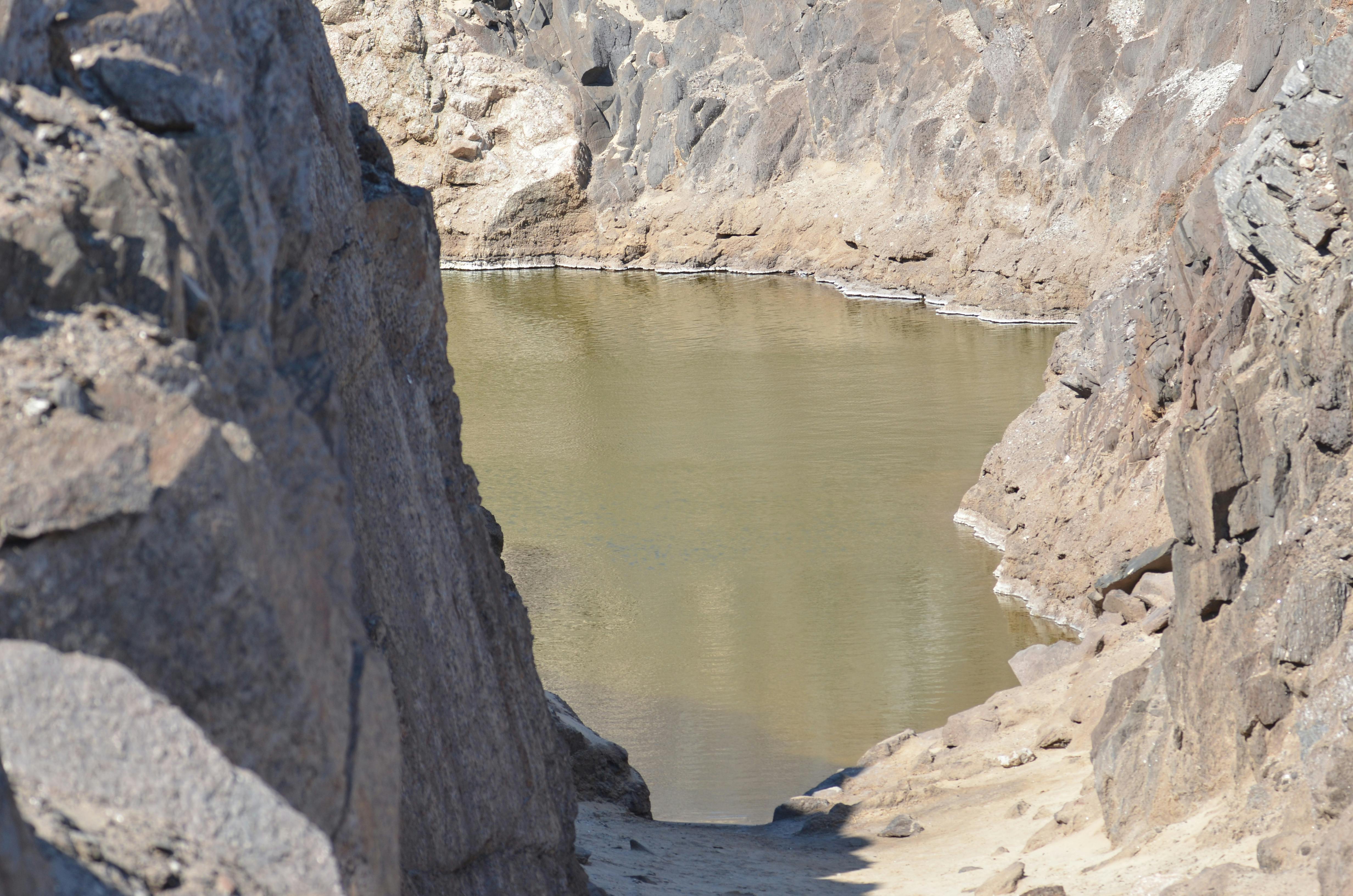 Desert Seeps and Rock Pools