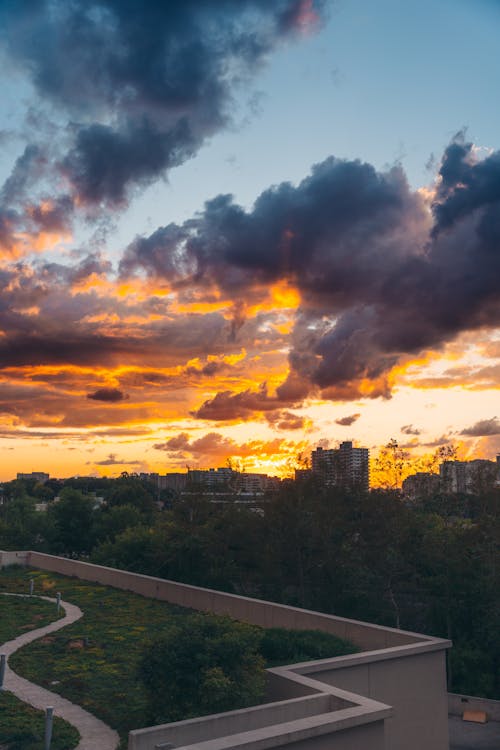 Green Rooftop Terrace with a View of the City