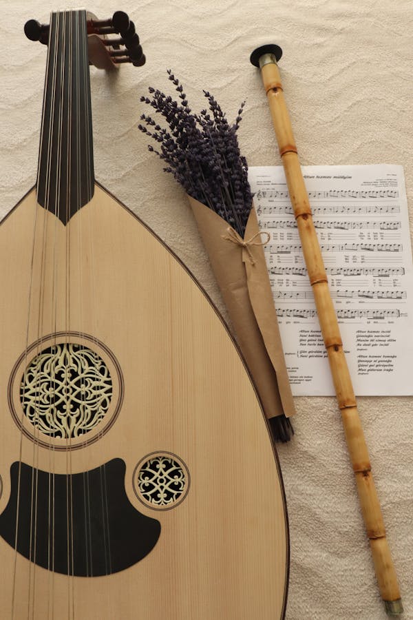 Lute Photos, Download The BEST Free Lute Stock Photos & HD Images