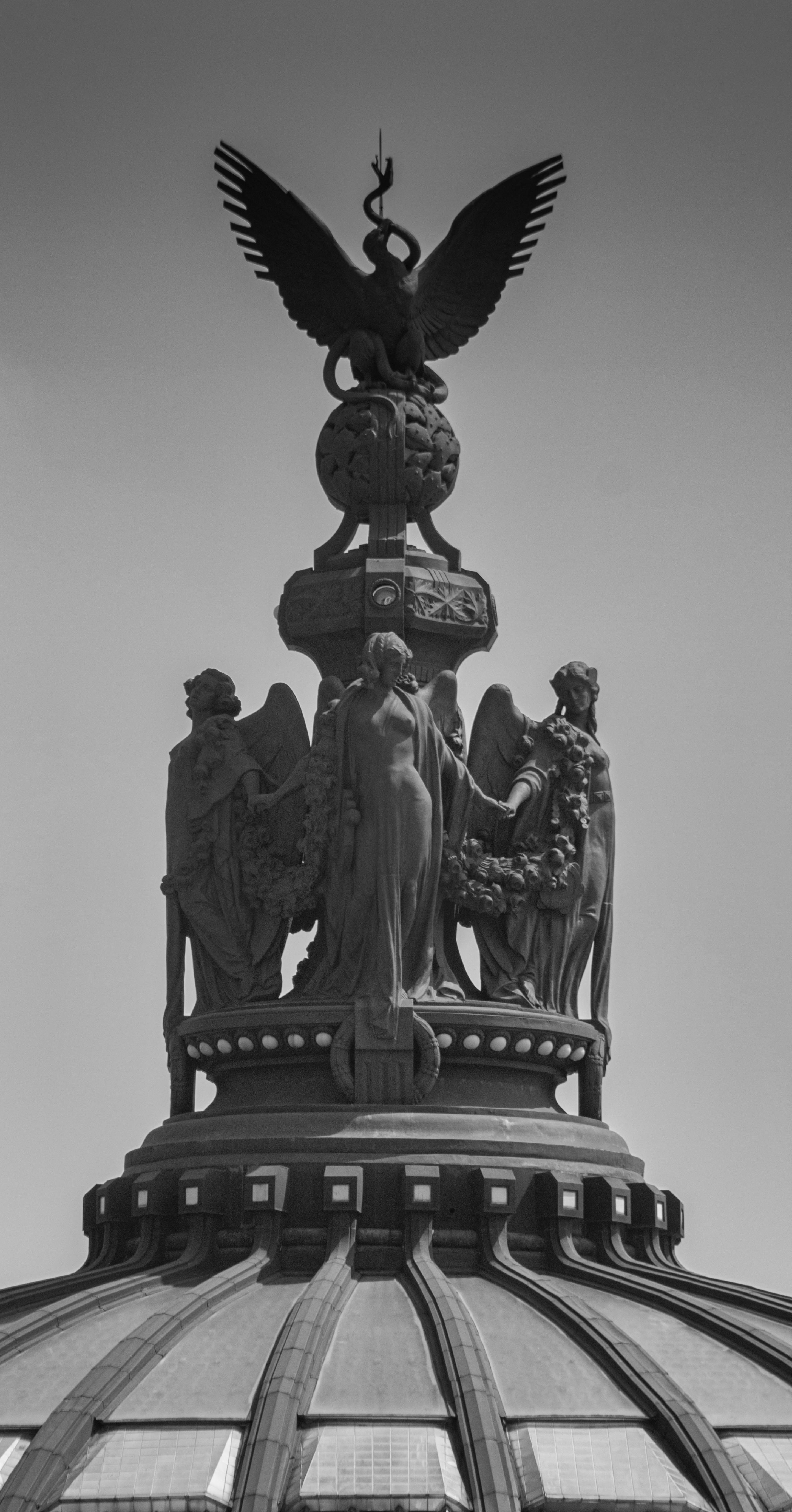 Top Murder Photos, Download The BEST Free Top Murder Stock Photos & HD