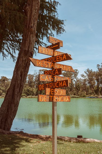 Wooden directional signpost in a lakeside park with trees in the background. Vibrant nature scene.