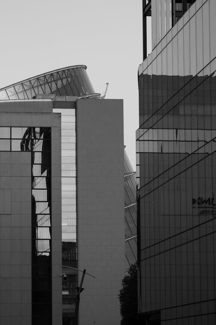 Modern Glass Buildings In Black And White