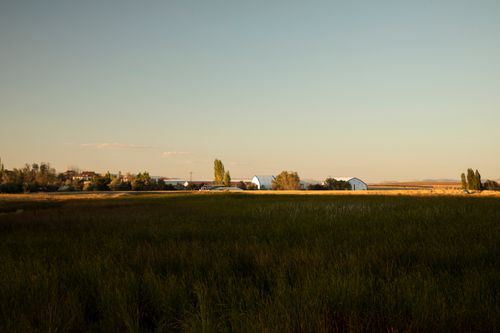 Free Peaceful summer countryside scene with farm buildings and open fields under clear sky. Stock Photo