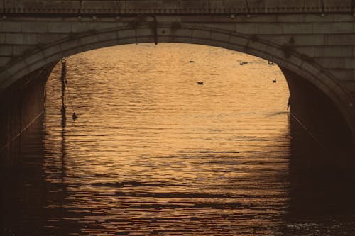 Reflection in a Water Under the Bridge