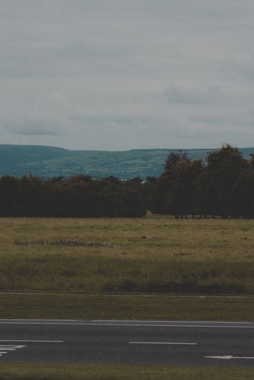 Foto profissional grátis de árvores, campina, cenário